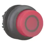 216976