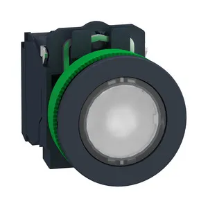 Schneider Electric XB5FW31M5 Pic_2