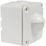 25242