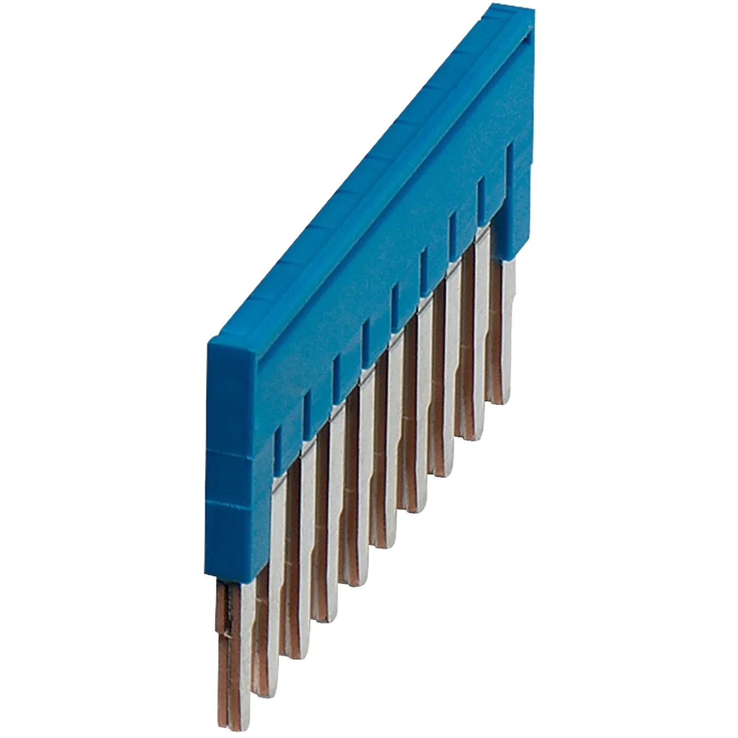 Schneider Electric NSYTRAL210BL Pic_1