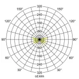 65181103