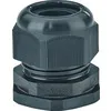 Hensel ASS 40 Pic_2