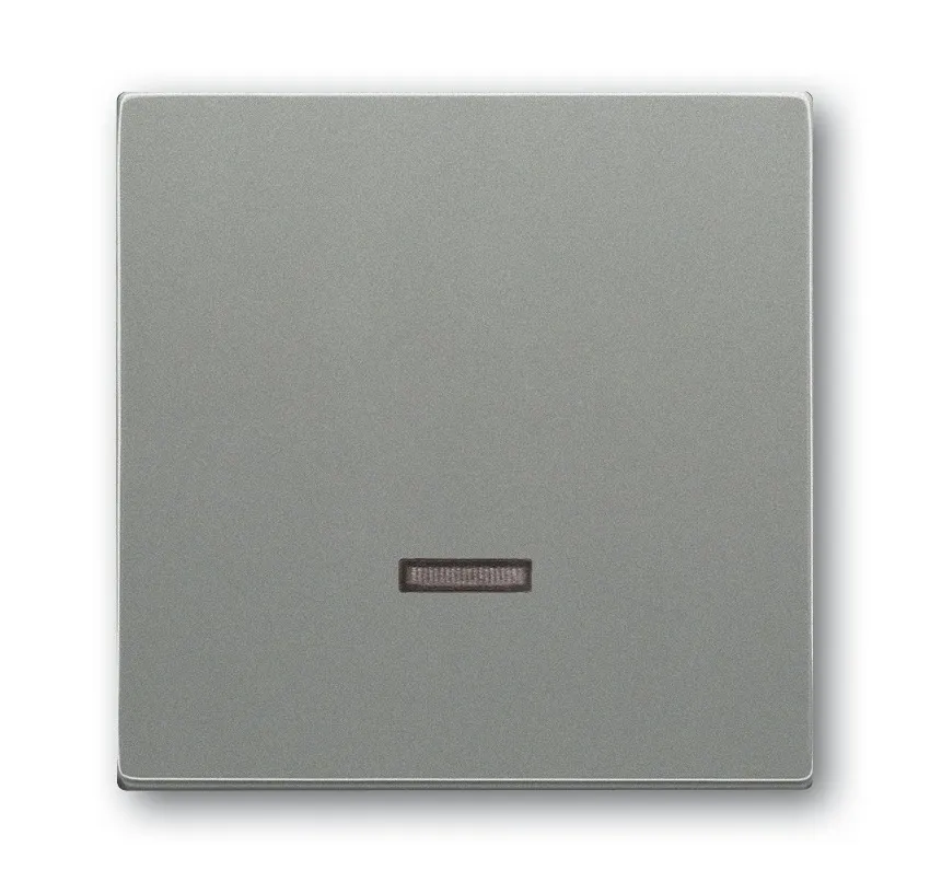 BUSCH-JAEGER ELEKTRO GMBH 6543-803-101 Pic_1