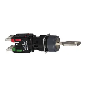 Schneider Electric XB6AGC5B Pic_1