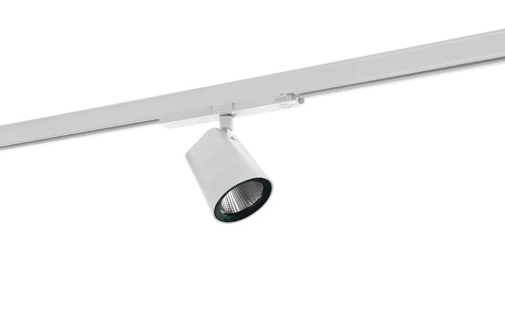 Ridi CIRQUA-LI 1X3600-830 DA-SF Pic_2