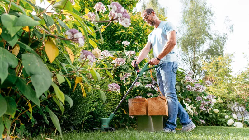 Bosch EasyGrassCut 23 Pic_1