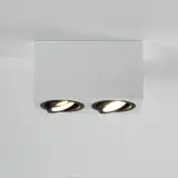45123550