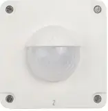 25241