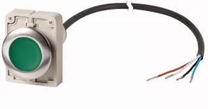 Eaton Electric C30C-FDR-G-K10-P65 Pic_1