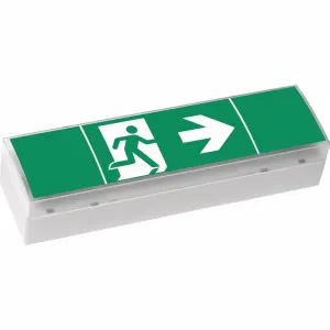 Cooper Safety SV EURO 4 LED 3h ISO 7010 Pic_1