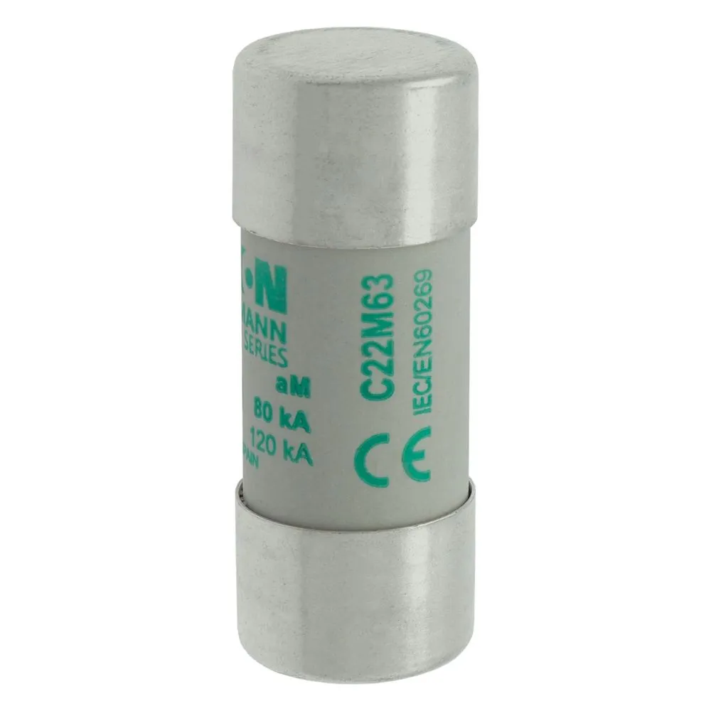 Eaton Electric CYLINDRICAL FUSE 22 x 58 63A AM 690V AC Pic_3