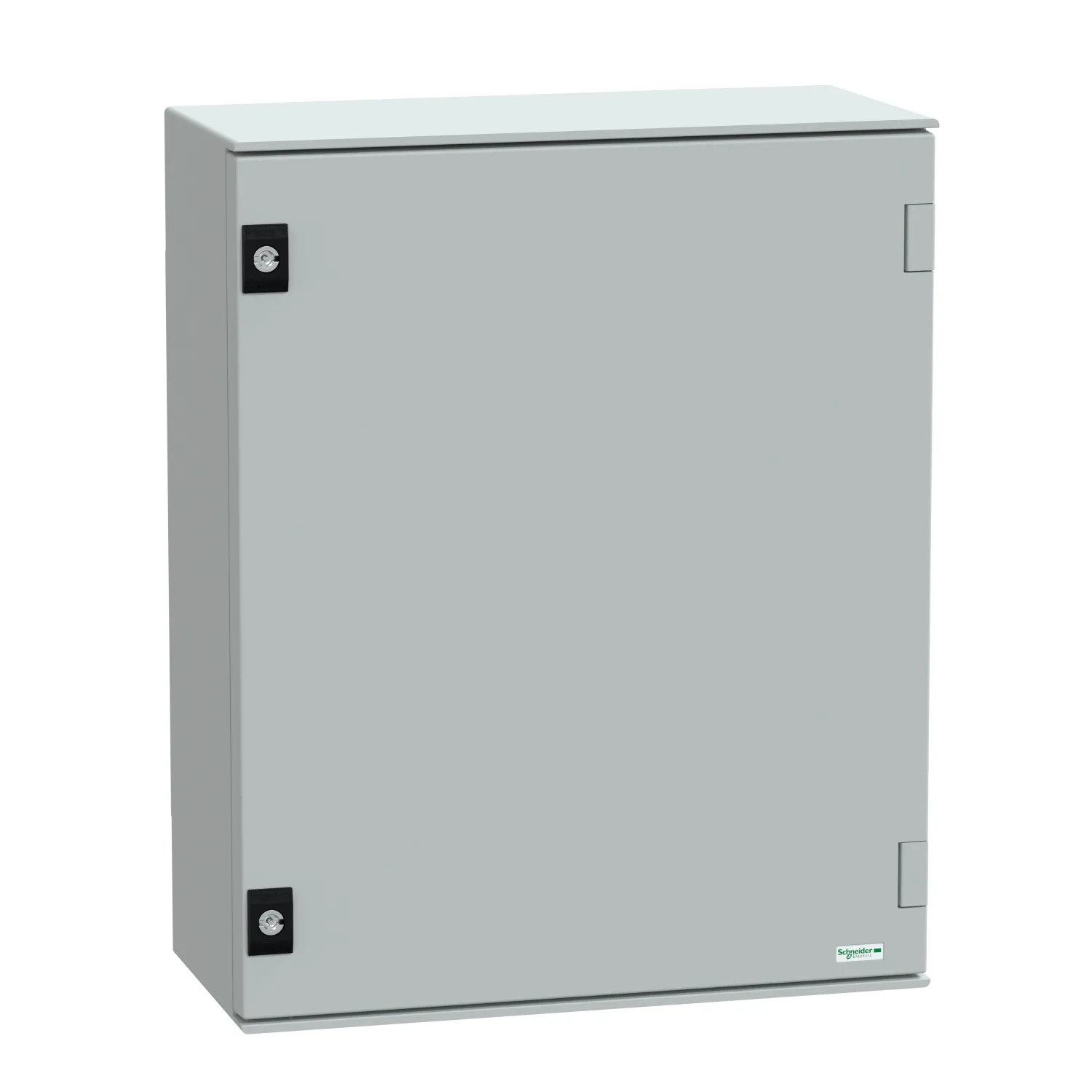 Schneider Electric NSYPLM54G Pic_1
