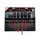 BIZ 700093