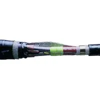 Te Connectivity EFSJ-12D-DE01 Pic_1