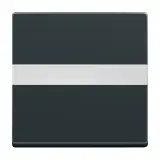 2CKA001731A1552