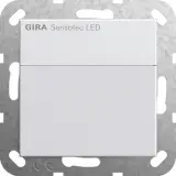 237803