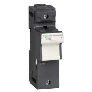 Schneider Electric DF221 Pic_1