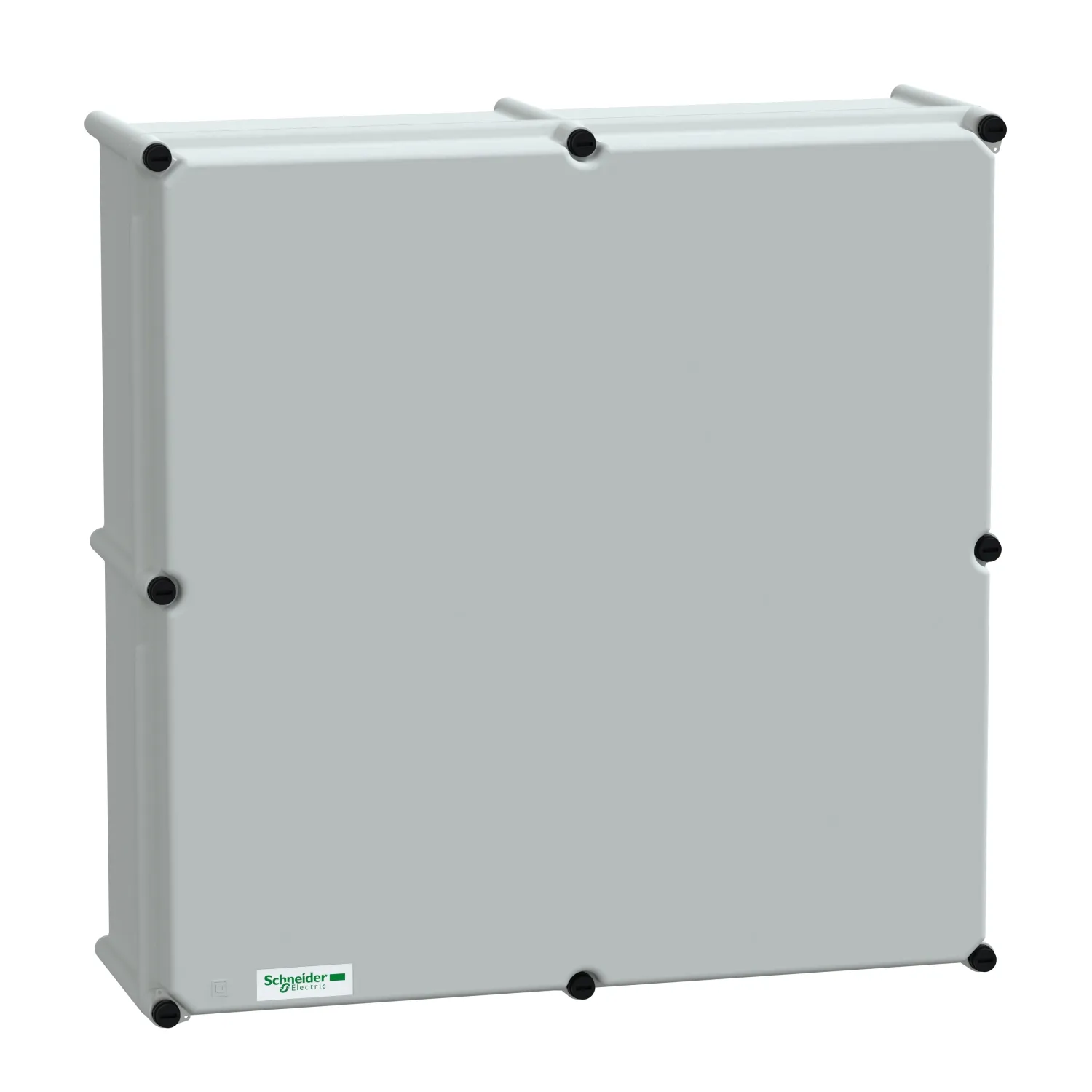Schneider Electric NSYPLSP5454G Pic_1