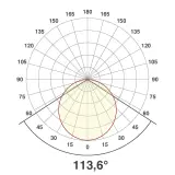 L67100602