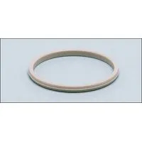 Ifm Electronic PEEK SEAL Pic_1