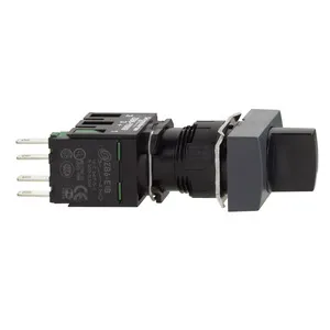 Schneider Electric XB6DD221B Pic_1