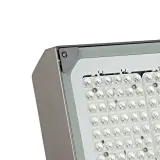 79615700