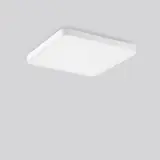312441.002.1.730