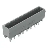 231-138/001-000