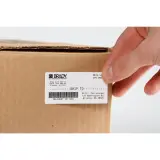 142956