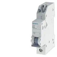 Siemens 5SJ6113-6KS Pic_1