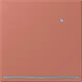 LC1539-OLNW236