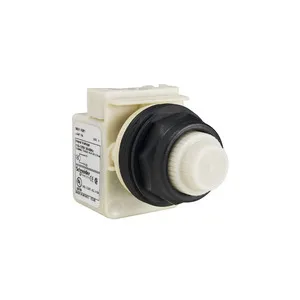 Schneider Electric 9001SKP7W31 Pic_1