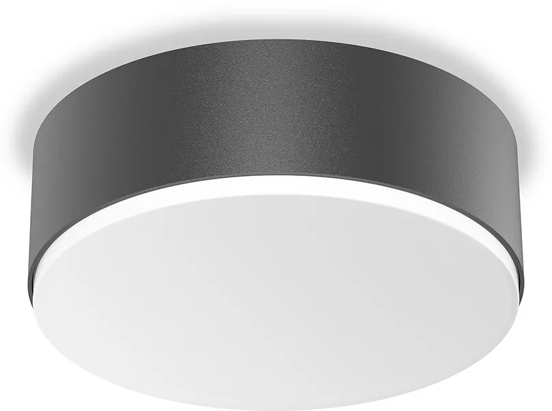 Steinel RS PRO A10 SC warmweiß anthrazit Pic_1