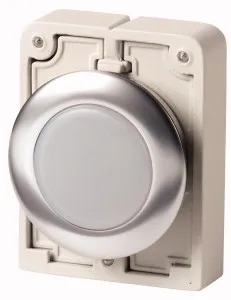 Eaton Electric M30I-FL-W-* Pic_3