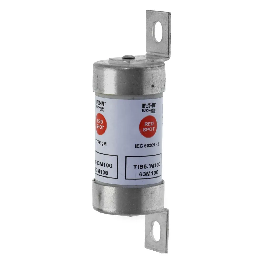Eaton Electric 63M100A 660V AC gM SICHERUNG Pic_1