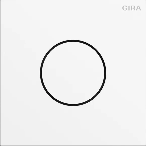 Gira 5563902 Pic_1