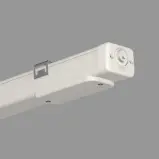 597186