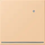 LC1539-OLNW237