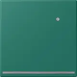 LC1539-OLNW216