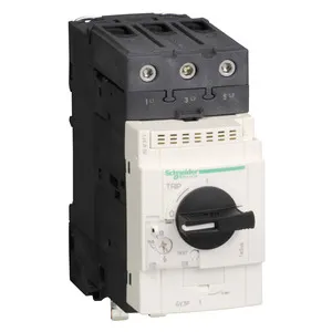 Schneider Electric GV3P651 Pic_2