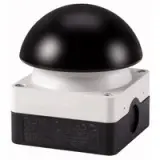 229749