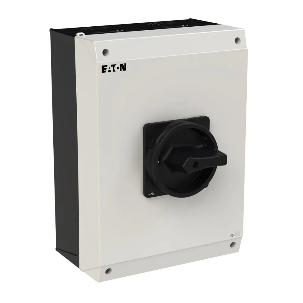 Eaton Electric P3-100/I5/SVB-SW Pic_5