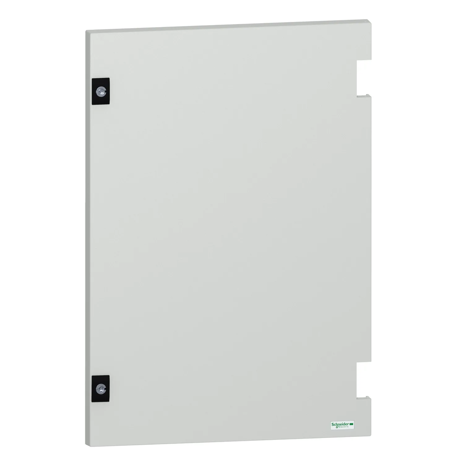 Schneider Electric NSYDPLM64G Pic_1
