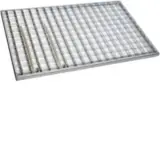ZAY90274