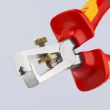 4003773021933