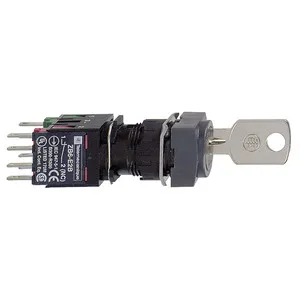 Schneider Electric XB6CGC5B Pic_1