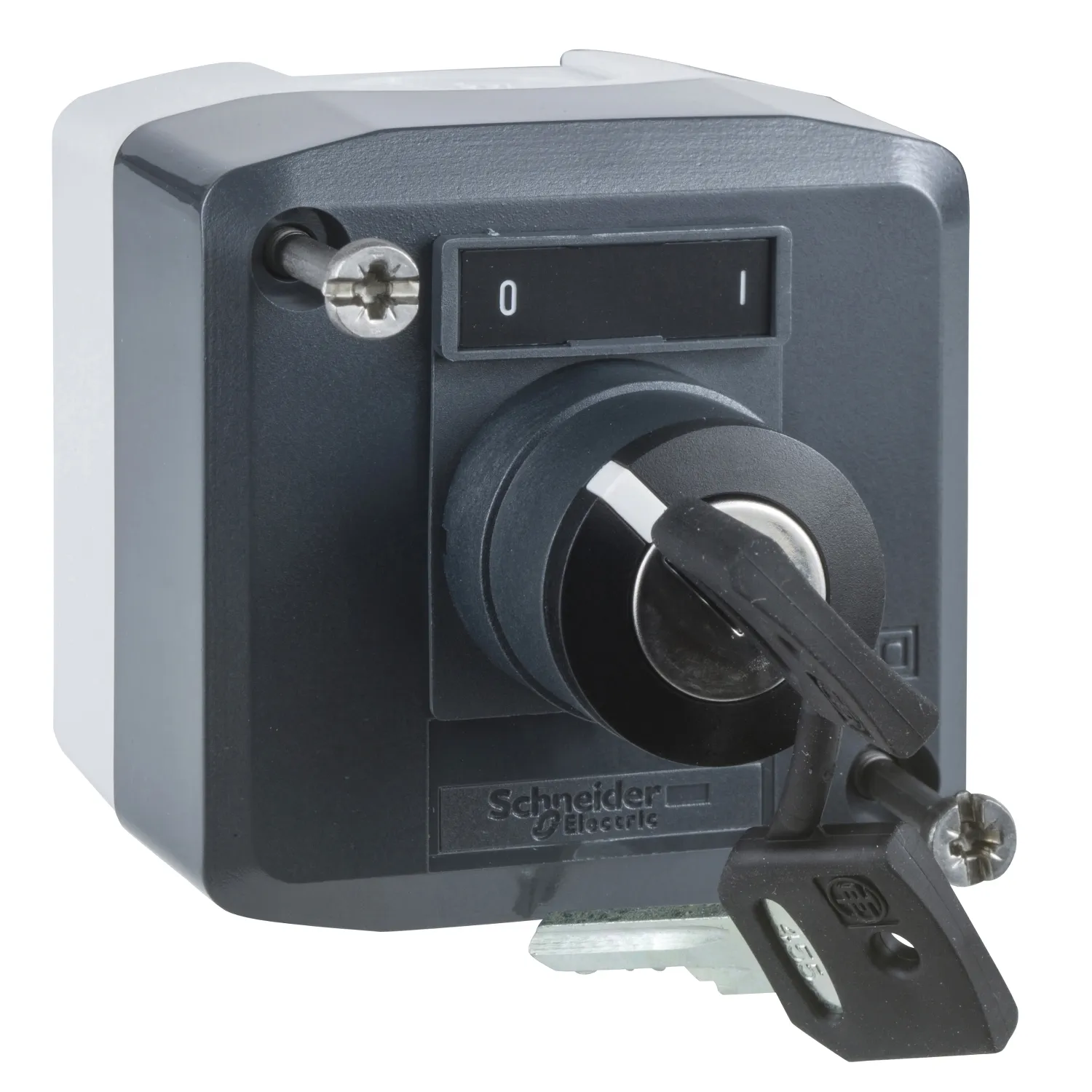 Schneider Electric XALD144 Pic_1