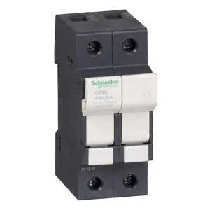 Schneider Electric DF82 Pic_1
