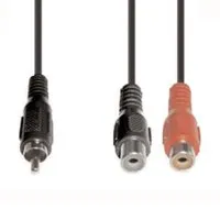 E+p B 91 Pic_1