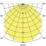 12451173